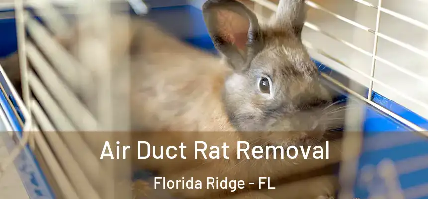  Air Duct Rat Removal Florida Ridge - FL