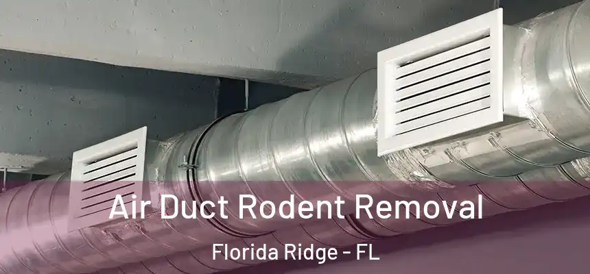 Air Duct Rodent Removal Florida Ridge - FL